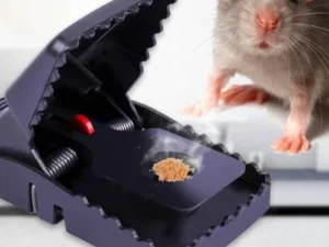 Heavy Duty Plastic Mouse Trap | Reusable Mouse Catcher | Best Quality Rodent Trap